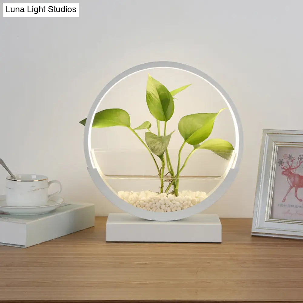 Nordic Circle Table Lamp With Hydroponics Plant Pot Design And Led Night Light