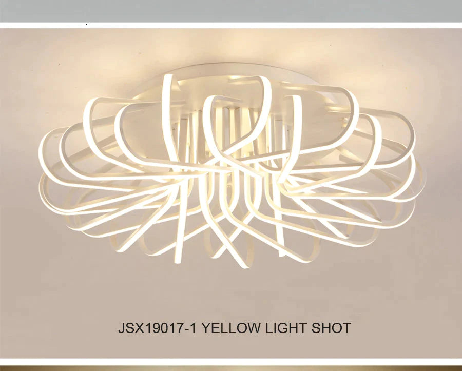 Surface Mount Ceiling Light Fixture For Bedroom Living Room Acrylic Ceiling Lamp Decorative Lampshade Lamparas De Techo