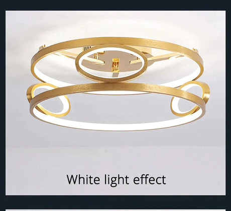Led Ceiling Lights Gold Body Round/Square For Bedroom Support Remote Control Led Lamps