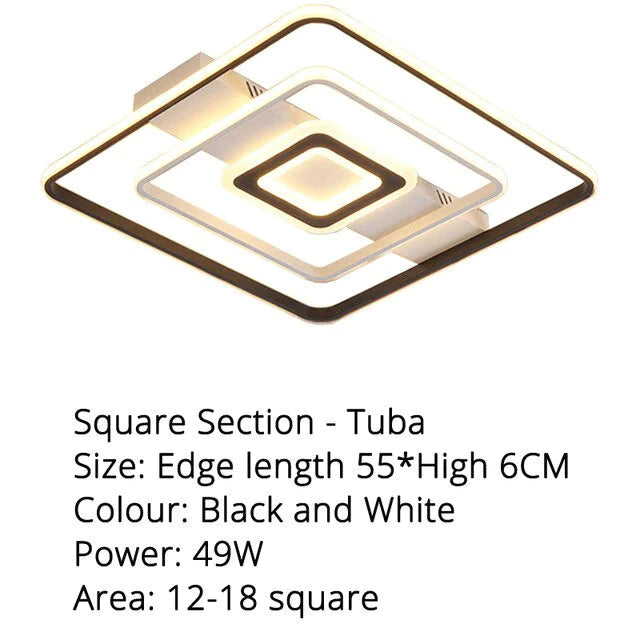 Modern Rectangle/Square/Circle Acrylic Led Ceiling Light White Color Black Color Remote Control For Living Room Bedroom Lighting