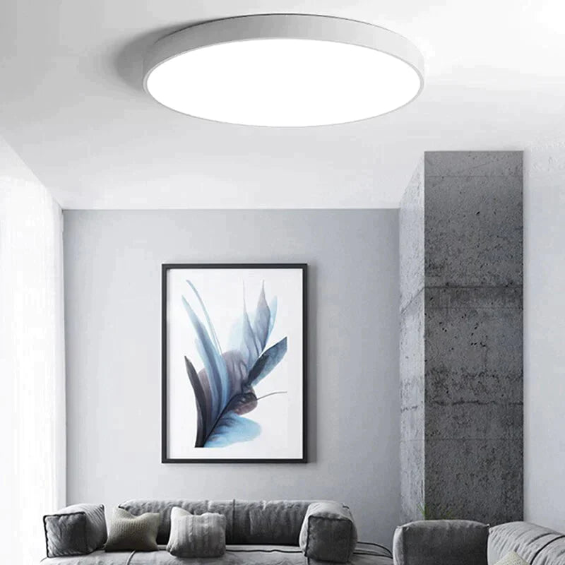 Modern Led Ceiling Light Surface Mount Flush Remote Control Ceiling Lamp For Living Room Bedroom