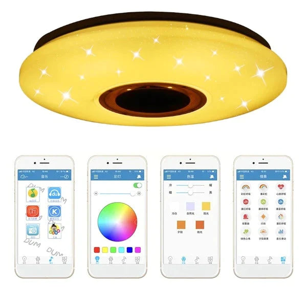 36W Rgb Flush Mount Round Starlight Music Led Ceiling Light Lamp With Bluetooth Speaker, Dimmable Color Changing Light Fixture