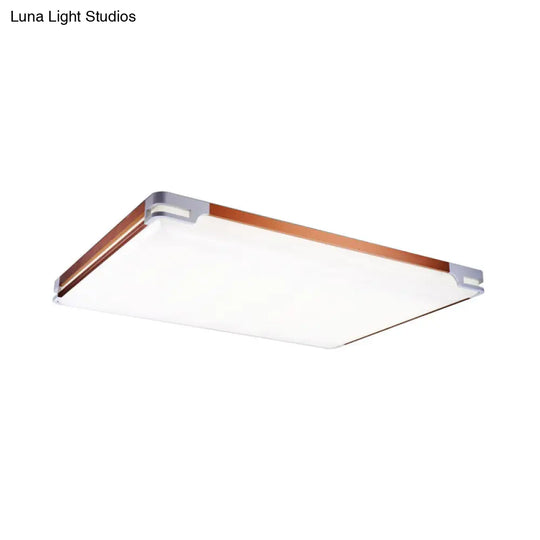 Simplicity Thin Acrylic Ceiling Light - Led Brown Flushmount (20.5/25/35 Wide)