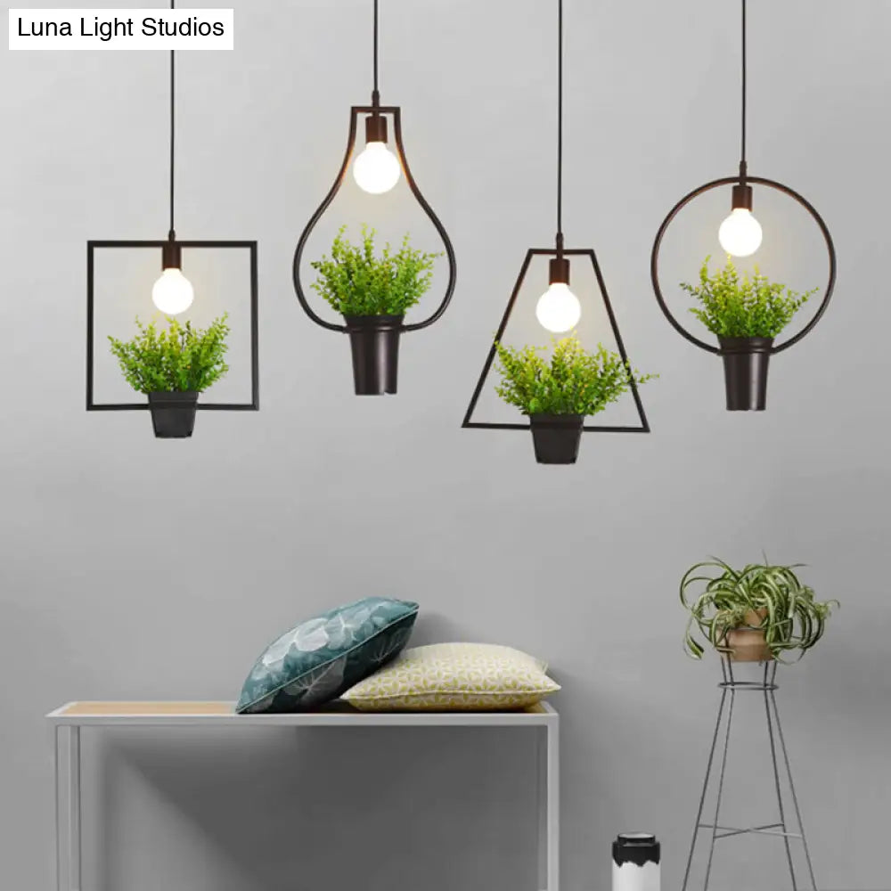 Single Plant Pendant Light Fixture - Rustic Iron Hanging Lamp In Black (Triangle/Square/Oval)