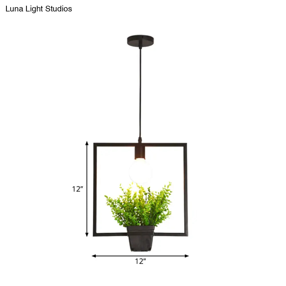 Single Plant Pendant Light Fixture - Rustic Iron Hanging Lamp In Black (Triangle/Square/Oval)