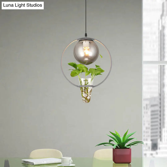 Smoke Gray Glass Ceiling Light With Iron Ring And Plant Cup - 1 Pendant For Restaurants Warehouses