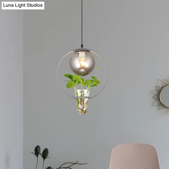 Smoke Gray Glass Ceiling Light With Iron Ring And Plant Cup - 1 Pendant For Restaurants Warehouses