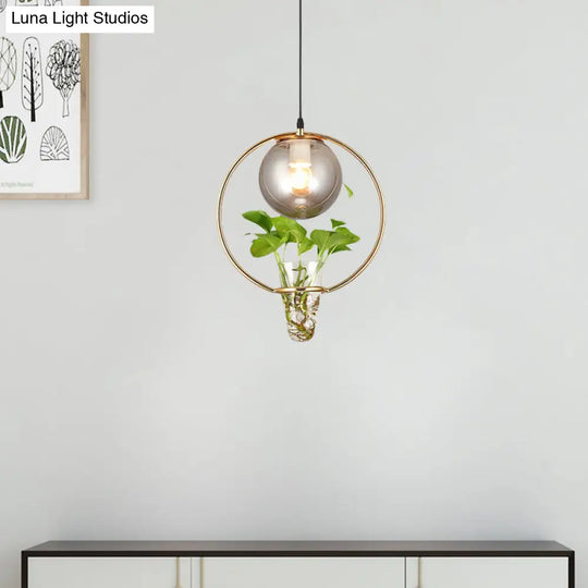 Smoke Gray Glass Ceiling Light With Iron Ring And Plant Cup - 1 Pendant For Restaurants Warehouses