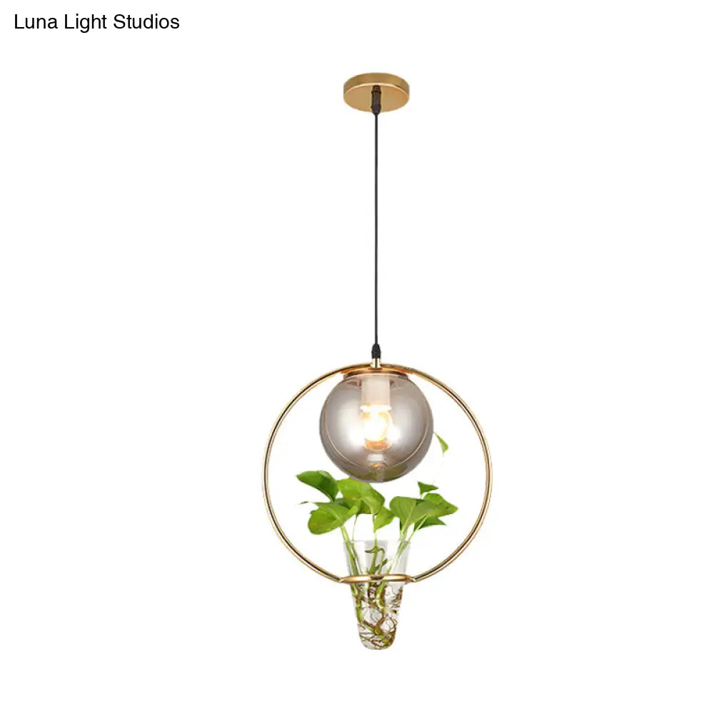 Smoke Gray Glass Ceiling Light With Iron Ring And Plant Cup - 1 Pendant For Restaurants Warehouses