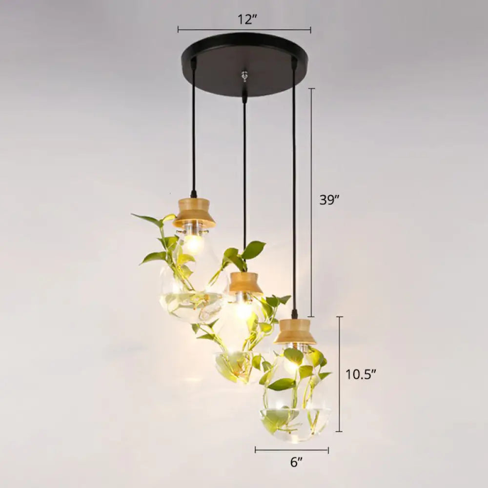 Teardrop Nordic Hydroponic Pendant Lamp - Clear Glass & Black / 12’