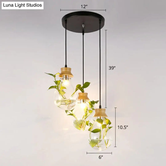 Nordic Teardrop Glass Pendant Lamp - Hydroponic Plant Suspension Light (Black) Black / 12