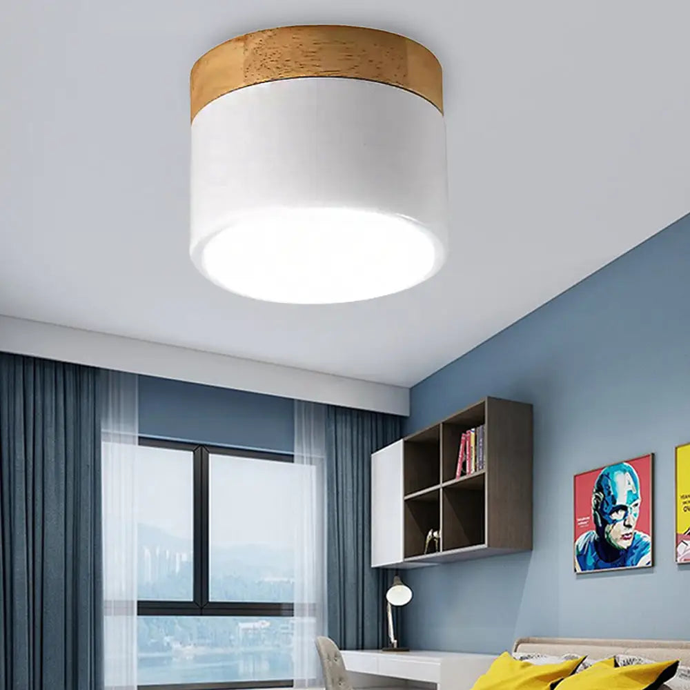 White Acrylic Led Drum Ceiling Mount Light For Simple & Stylish Living Room Lighting